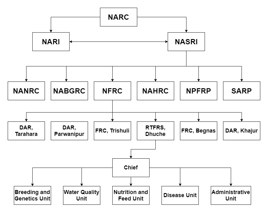 Organizational Structure